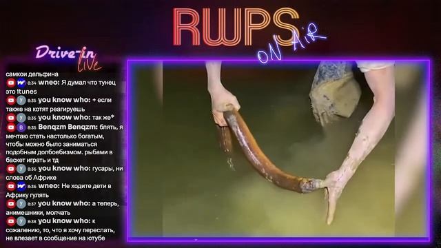 RWPS::Звоните в Oracle 3.16.1 - Стрим Дураков смотреть онлайн