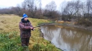 Обзор Китайской сетки с кормушкой,она ловит