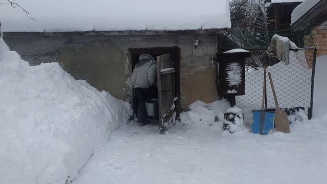 Из ГОРОДА в ДЕРЕВНЮ! Топим БАНЮ! Звуки костра и подготовка смотреть онлайн