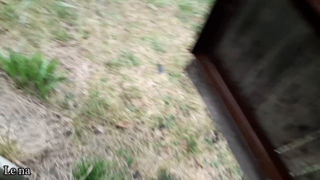 ВЛОГ: ПОЖАР НА ДАЧАХ - СГОРИТ НАША ДАЧА ИЛИ НЕТ?/ НАТУРАЛЬНАЯ КОСМЕТИКА смотреть онлайн