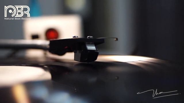 Best Voices & Super Bass - Hi-Res Audiophile 24 Bit - Audiophile NBR Music