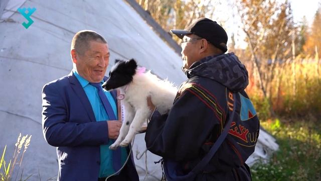 На Ямале открыли Центр разведения уникальной лайки смотреть онлайн