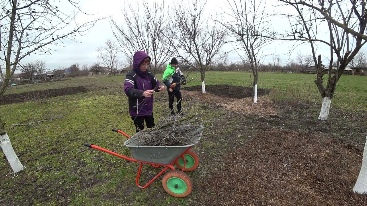 СЪЕЗДИЛИ К КОСТОПРАВУ В КРАСНОДАР/КУПИЛИ КОРОЛЕВСКИЕ КРЕВЕТКИ/ОТДАЛИ ЭЛЕКТРОСАМОКАТ НА РЕМОНТ. смотреть онлайн
