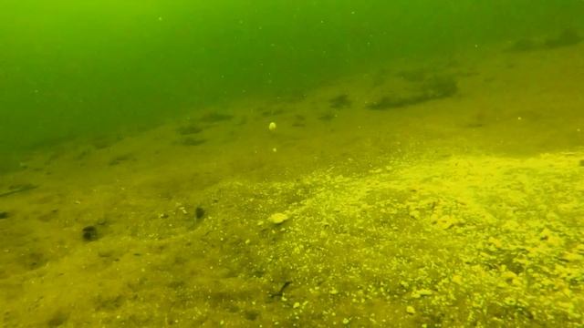 Проверено - работает! РЕАКЦИЯ РЫБЫ НА ОВСЯНОЕ ПЕЧЕНЬЕ!!! Подводная съемка | Зимняя рыбалка 2018 смотреть онлайн