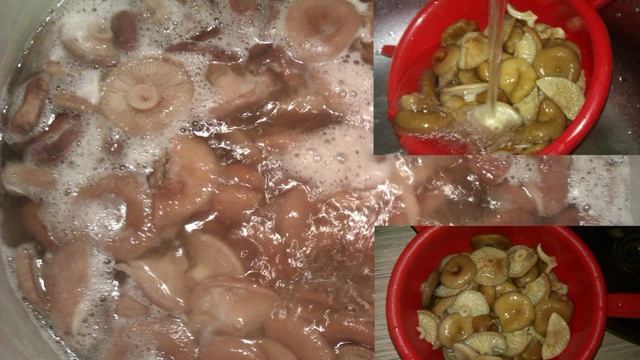 Сборник рецептов