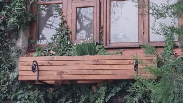 22.01.07.Ливадия. смотреть онлайн