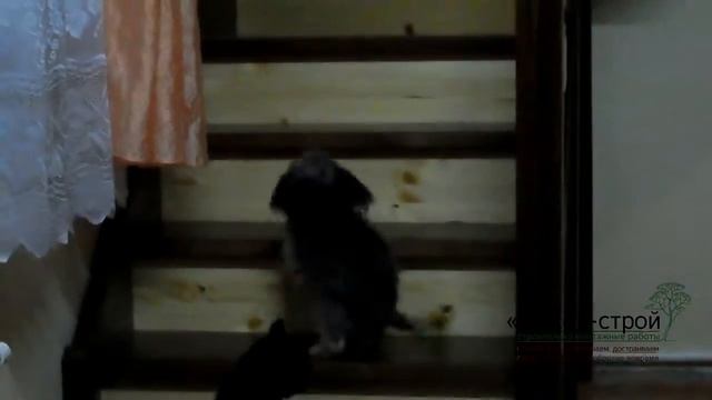 Изготовление деревянной лестницы с комбинированной расцветкой Иркутск смотреть онлайн