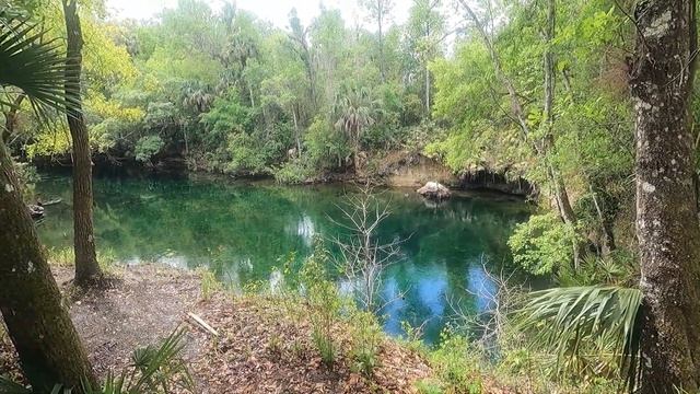 A Tour of Blue Spring State Park, Orange County Florida смотреть онлайн