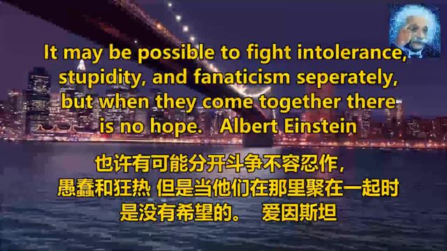 Albert Einstein Stupidity : There Is No Vaccine For Stupidity. смотреть онлайн