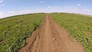 Газовый отпугиватель птиц Guardian 2 ☎ +7(912)847-52-01