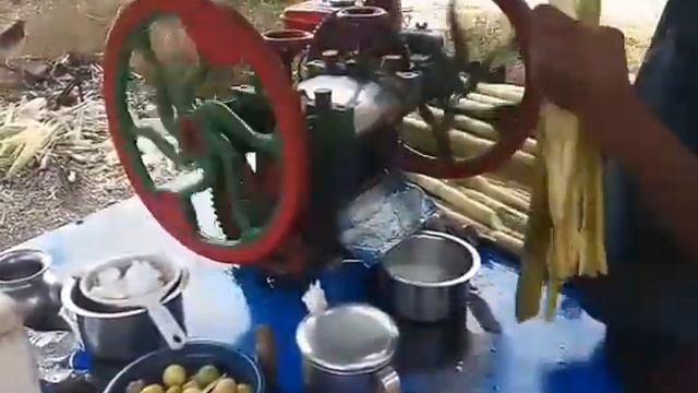 Выжимание сока из тростника в Индии 2017 смотреть онлайн