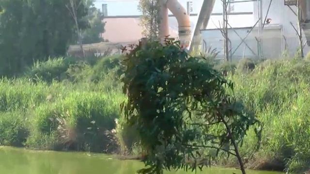 Серебряная свадьба родителей! смотреть онлайн