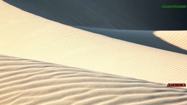 10 ПРАВИЛ РАЗВОДА В ИСЛАМЕ/ #призывмусульман смотреть онлайн