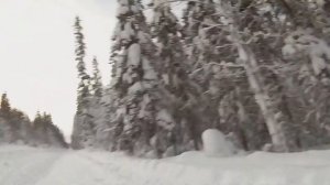 Отстрел самокрутных дробовых патронов 12к на иж-27