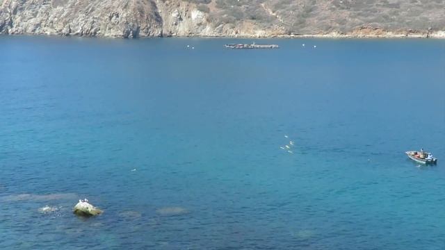 Ocean Lab develops swarming marine vehicle: The Data Diver смотреть онлайн
