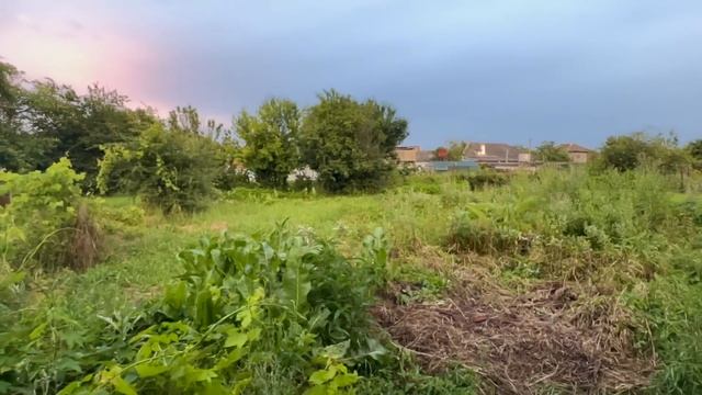 душевно в доме на Юге летними вечерами смотреть онлайн
