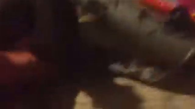 Бартель смотреть онлайн