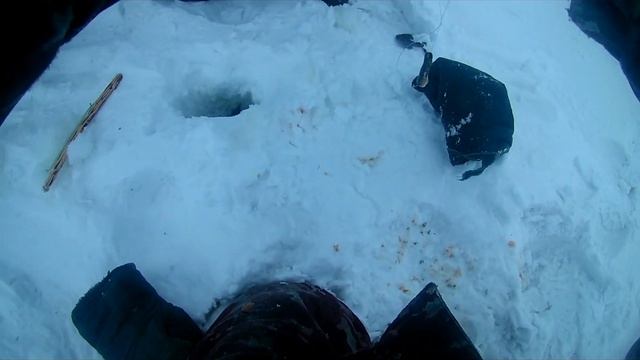 Налим на поставухи!) Налим пошел!) Рыбалка на налима! Бешенный клев!)