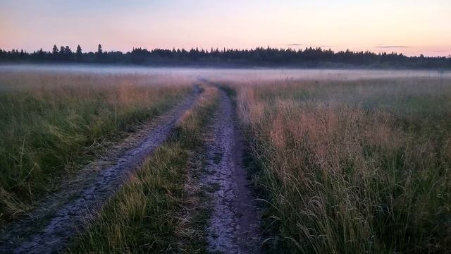 Л Татьяничева Ни печали, ни радости #поэты20века #стихиолюбви смотреть онлайн