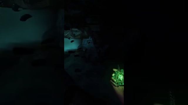 Как играть вместе с друзьями в Amnesia Rebirth смотреть онлайн