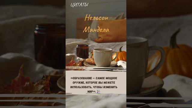 Цитаты смотреть онлайн