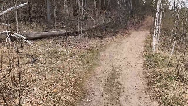 Без болтовни! Передающий атмосферу поход выходного дня в лес! Звуки природы, шум леса и пение птиц! смотреть онлайн