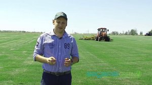 Этапы производства рулонного газона - производитель Sagama Green®