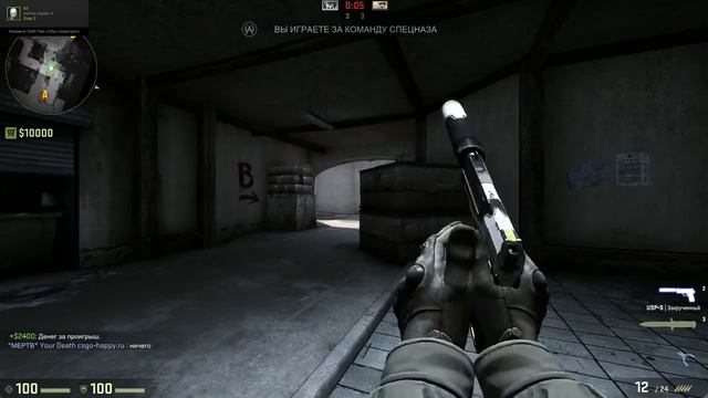 ПВП В КС:ГО С 1 ХП смотреть онлайн