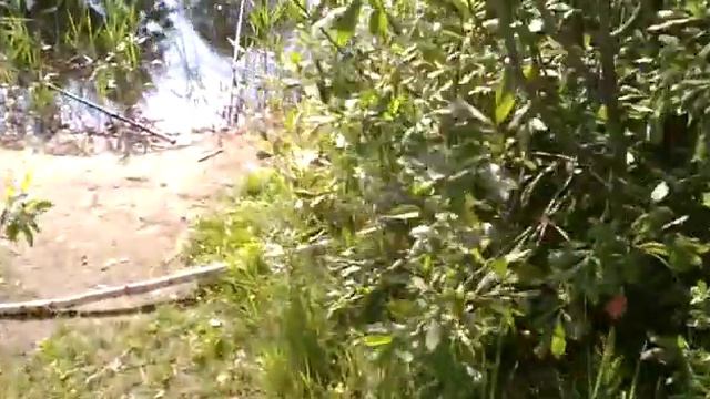 д.Чкалово смотреть онлайн