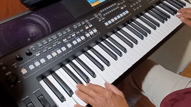 SX600, Can't Help Falling In Love With You смотреть онлайн