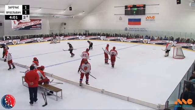 ЗШ (1) 06-07 г.р. | Заречье - Ярославич | 13 Ноября 2023 г. 13:30 | ФИНАЛ | смотреть онлайн