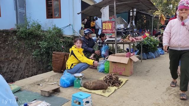 Harvest yams to go to the market to sell, Build two-compartment earthenware stove | Lý Thị Ninh смотреть онлайн