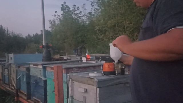 Боримся с крещем. Пчеловодство смотреть онлайн