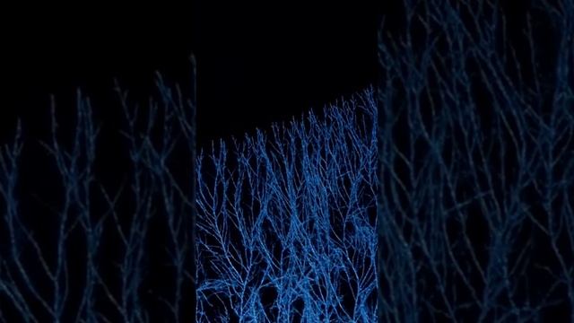 5 ФАКТОВ О ГРИБАХ