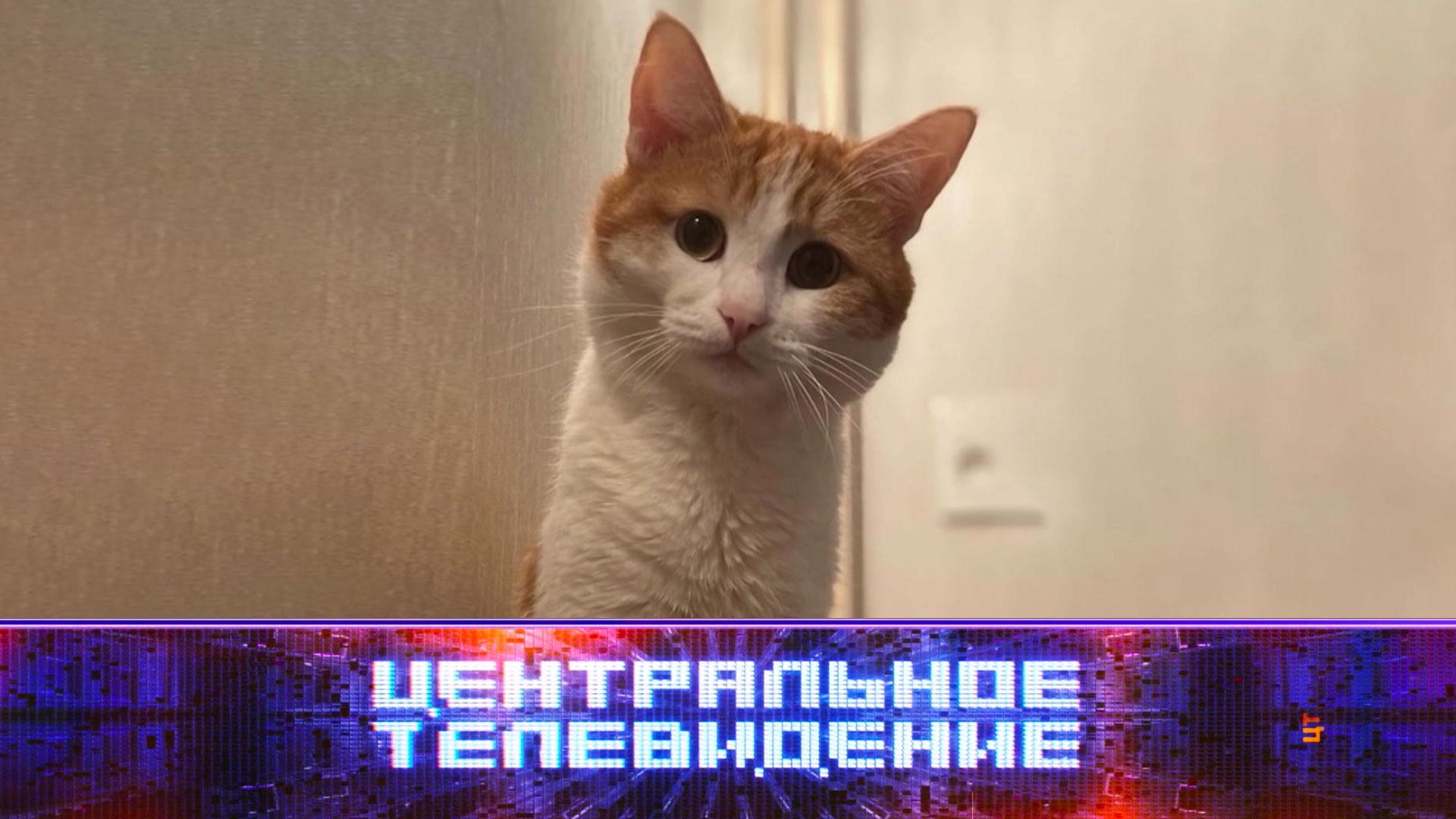 Центральное телевидение. Выпуск от 27января 2024года
