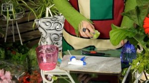 Сельдерей на подоконнике часть 1 ➡ Как вырастить из покупного?