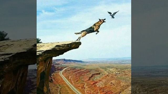 в память о однокласснике?️?️?️ смотреть онлайн