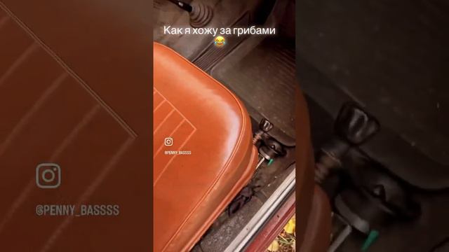 Как правильно собирать грибы Ваз 2101 1971 год смотреть онлайн