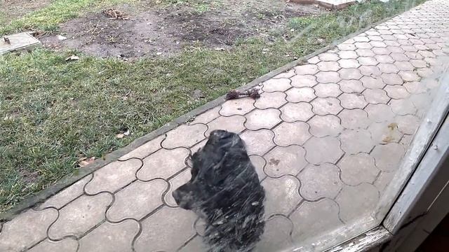 Загнали в дом тепло. Лежу в пинджаке на полу со слезами...Да будет свет! смотреть онлайн