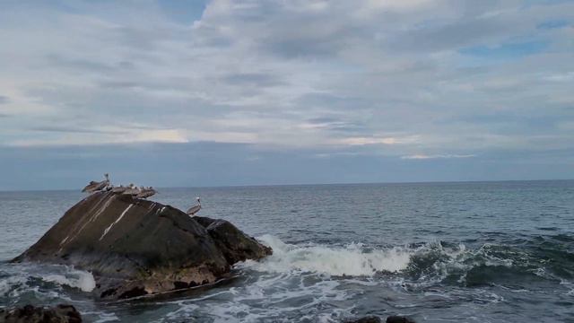 isla de margarita смотреть онлайн
