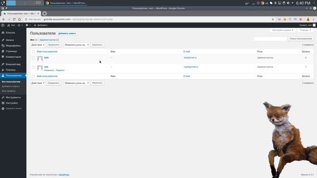 WordPress - Создание скрытого администратора смотреть онлайн