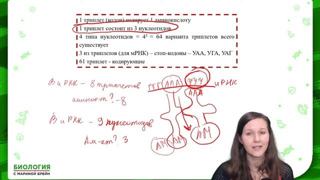 БИОСИНТЕЗ БЕЛКА ВСЕ ТИПЫ ЗАДАЧ ЕГЭ № 3 И 27 смотреть онлайн
