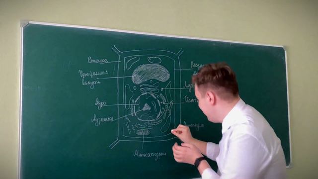 Павловский Павел Олегович. «Лучший будущий учитель – 2022» смотреть онлайн