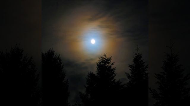 Dark Night Shadows смотреть онлайн