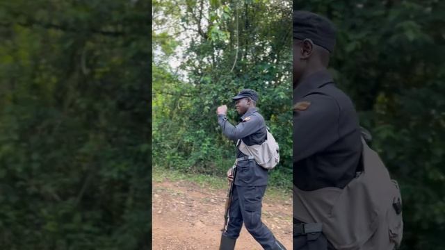 Starting Gorilla Trekking in Bwindi Forest Uganda смотреть онлайн