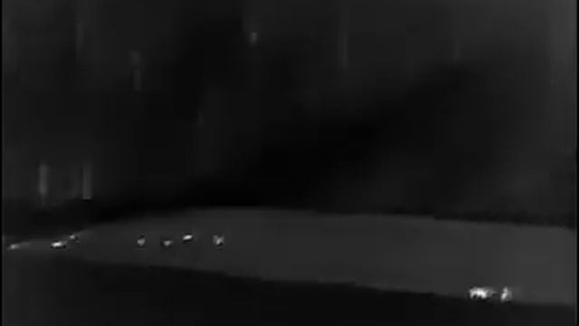 Thermal night vusion wild boar hunting смотреть онлайн