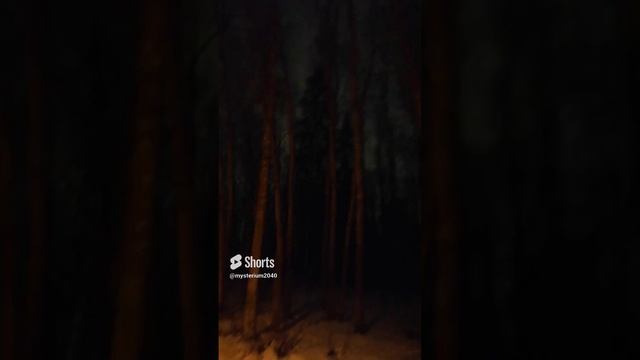 Ночь, лес, волки:) смотреть онлайн