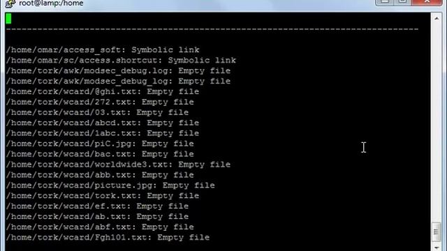 Install and Configuring anti viruses ClamAV and LMD смотреть онлайн