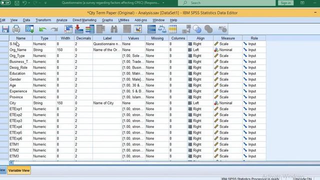 L-48/3 How to Use SPSS Software | Import MS Excel Data File in SPSS (In Urdu / Hindi / English) смотреть онлайн