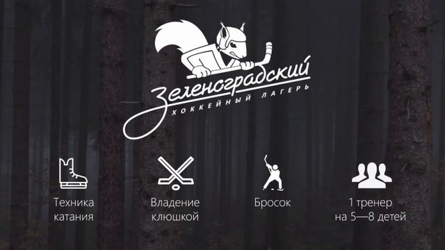 Промо видео. Зеленоградский хоккейный лагерь. смотреть онлайн